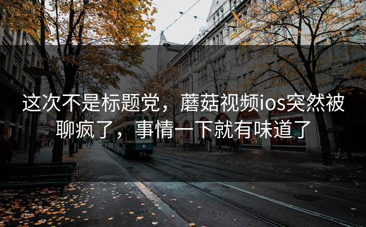 这次不是标题党，蘑菇视频ios突然被聊疯了，事情一下就有味道了