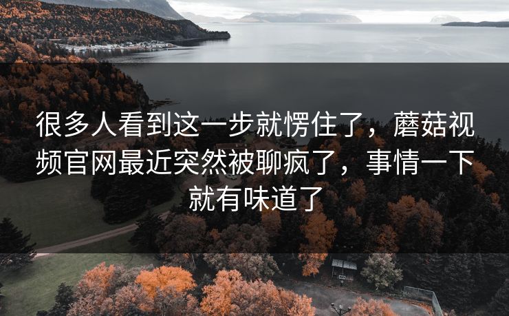 很多人看到这一步就愣住了，蘑菇视频官网最近突然被聊疯了，事情一下就有味道了