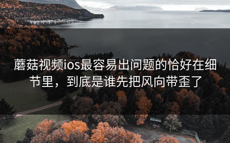 蘑菇视频ios最容易出问题的恰好在细节里，到底是谁先把风向带歪了