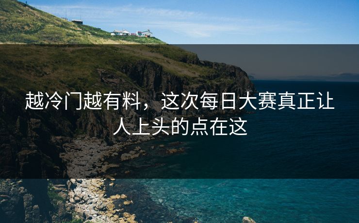 越冷门越有料，这次每日大赛真正让人上头的点在这