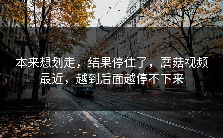 本来想划走，结果停住了，蘑菇视频最近，越到后面越停不下来