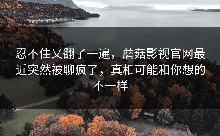 忍不住又翻了一遍，蘑菇影视官网最近突然被聊疯了，真相可能和你想的不一样