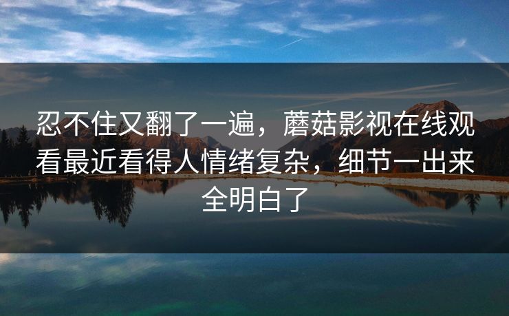 忍不住又翻了一遍，蘑菇影视在线观看最近看得人情绪复杂，细节一出来全明白了