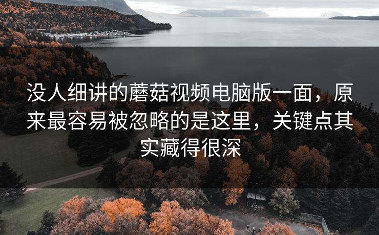 没人细讲的蘑菇视频电脑版一面，原来最容易被忽略的是这里，关键点其实藏得很深