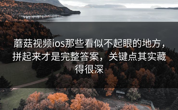 蘑菇视频ios那些看似不起眼的地方，拼起来才是完整答案，关键点其实藏得很深