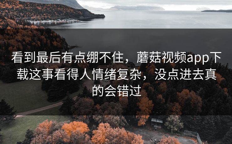 看到最后有点绷不住，蘑菇视频app下载这事看得人情绪复杂，没点进去真的会错过