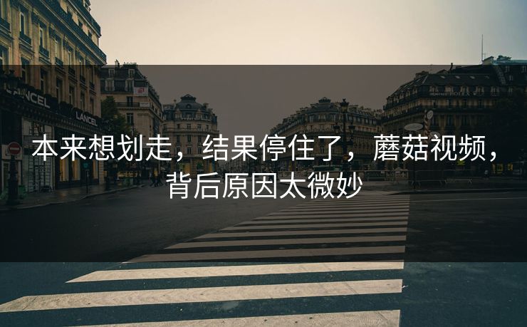 本来想划走，结果停住了，蘑菇视频，背后原因太微妙