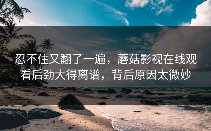 忍不住又翻了一遍，蘑菇影视在线观看后劲大得离谱，背后原因太微妙