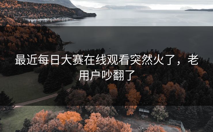 最近每日大赛在线观看突然火了，老用户吵翻了