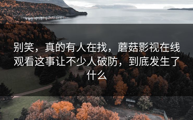 别笑，真的有人在找，蘑菇影视在线观看这事让不少人破防，到底发生了什么