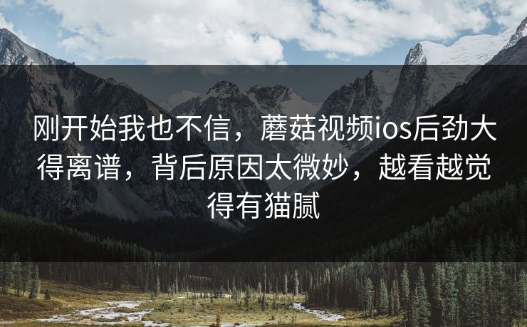 刚开始我也不信，蘑菇视频ios后劲大得离谱，背后原因太微妙，越看越觉得有猫腻